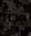 Mirror | Stepevi
