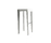 Mirthe | Tribù