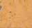 Corian® Farben | Hasenkopf