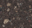 Corian® Farben | Hasenkopf