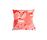 Salamander Cushion | BANTIE