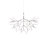 heracleum | moooi