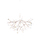 heracleum | moooi