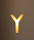 Xy | Cordula Kafka