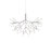 heracleum | moooi