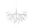 heracleum | moooi