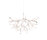 heracleum | moooi