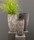AH | Atelier Vierkant
