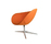 Poppy | Tonon