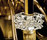 Amsterdam | Barovier&Toso
