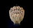 Protea Chandeliers | Willowlamp