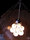 Custom Design and Installations | Willowlamp