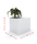 Meeting Point | Cabanes