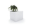 Meeting Point | Cabanes