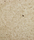 LW - Laminated Washi (Basic) | Wood & Washi