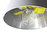 mistral | moooi
