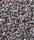 Corale Teppich | Kvadrat