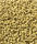 Corale Teppich | Kvadrat