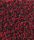 Corale Teppich | Kvadrat