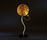 Luce d'oro | Catellani & Smith