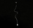 Minimalismo | Catellani & Smith