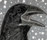 Animals Birds | Ulrike Weiss