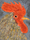 Animals Birds | Ulrike Weiss