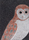 Animals Birds | Ulrike Weiss