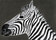 Animals four legs | Ulrike Weiss