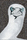 Animals Birds | Ulrike Weiss