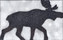 Animals four legs | Ulrike Weiss