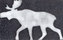 Animals four legs | Ulrike Weiss