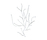 Algue | Vitra