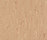 Polyflor Primus 2000 PUR | objectflor
