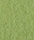 Alina Colours | Steiner