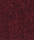 Alina Colours | Steiner