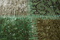 Persian Vintage | Naturtex