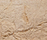 MSD Kunststein Paneele | StoneslikeStones