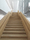 Oak | DINESEN