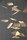 Leaves | Cordula Kafka