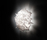 Veli | Slamp