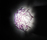 Veli | Slamp