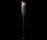 Scalloped Willow | Willowlamp