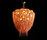 Protea Chandeliers | Willowlamp