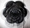Rose Chandeliers | Willowlamp