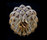 Protea Chandeliers | Willowlamp