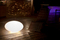 Eggy Pop | Cph Lighting
