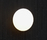 Eggy Pop | Cph Lighting