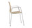 Ginger | Inclass
