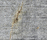 Concrete wall | CONCRETE WALL